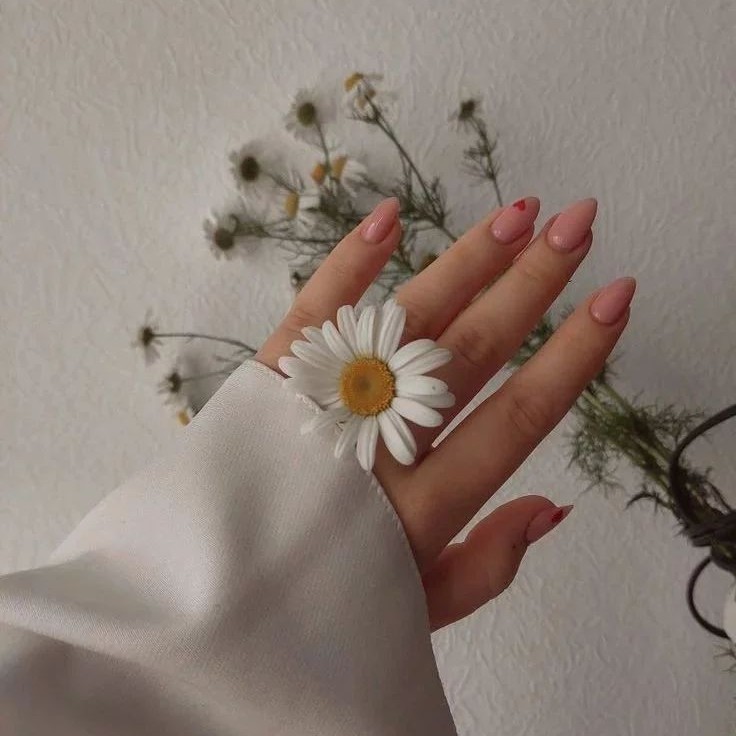 العفو والتسامح