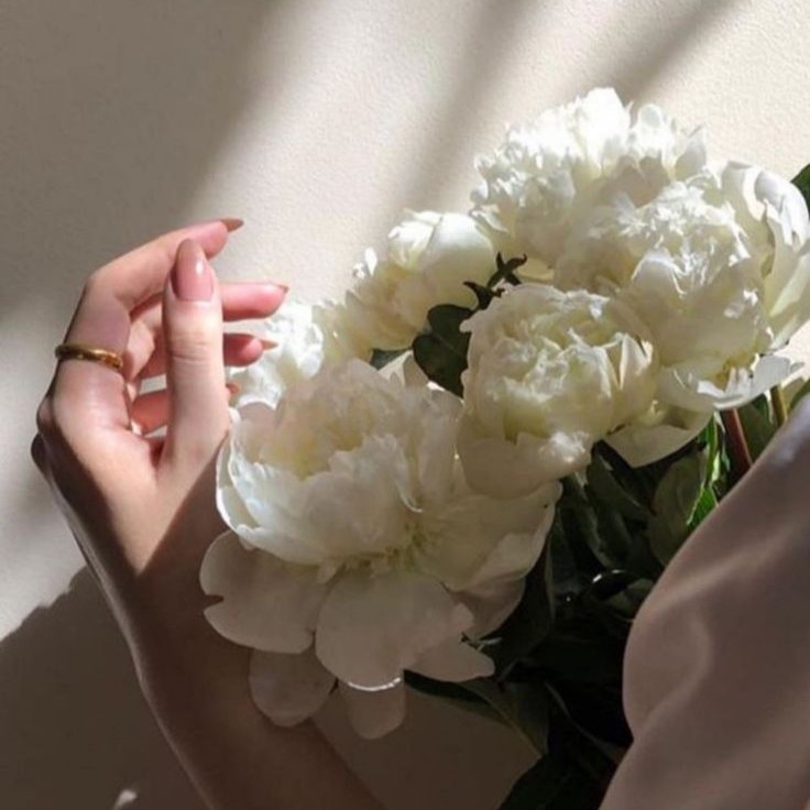 العفو